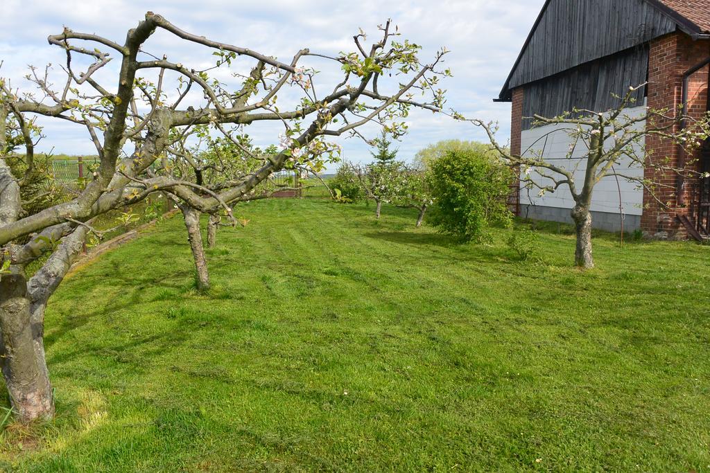Rodinne Ubytovani - Family Accommodation Kobylice Eksteriør bilde